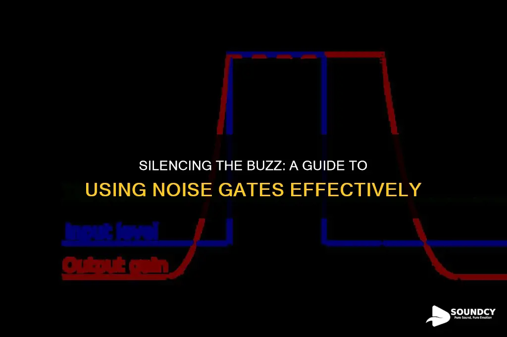 how to take a buzzing sound off with noisegate