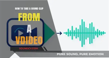 Extracting Audio: A Simple Guide to Capturing Sound from Video