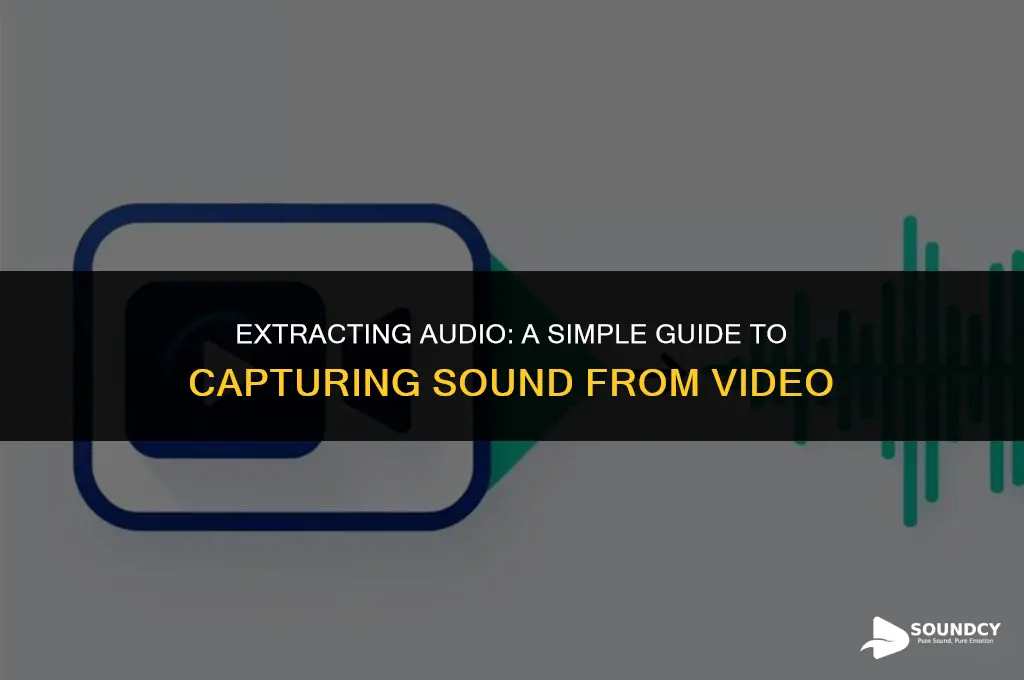 how to take a sound clip from a vdideo