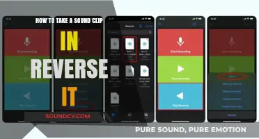 Reversing Audio: A Step-by-Step Guide to Flipping Sound Clips