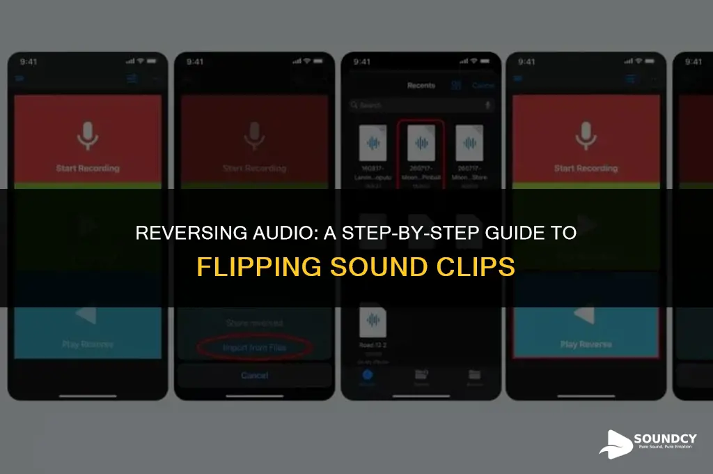 how to take a sound clip in reverse it