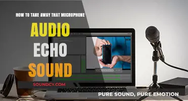 Banish the Echo: Tips to Eliminate Microphone Audio Reflections