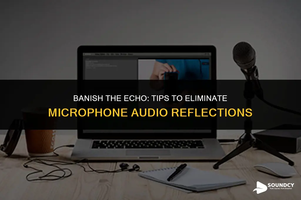how to take away that microphone audio echo sound