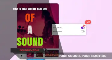 Extracting Specific Audio Segments: A Step-by-Step Guide