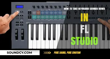 Mastering Silence: A Guide to Reducing Keyboard Noise in FL Studio