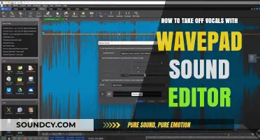 Efficiently Removing Vocals Using WavePad Sound Editor