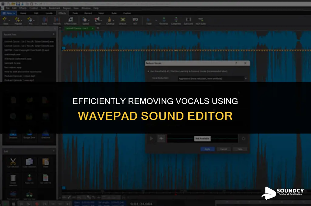 how to take off vocals with wavepad sound editor