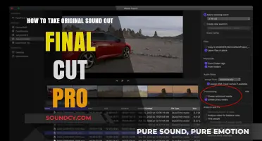 Efficiently Removing Original Audio in Final Cut Pro: A Step-by-Step Guide