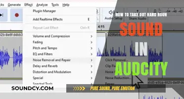 Mastering Audio Editing: Eliminate Harsh Sounds in Audacity