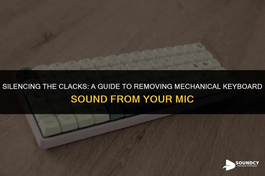how to take out mechanical keyboard sound from mic