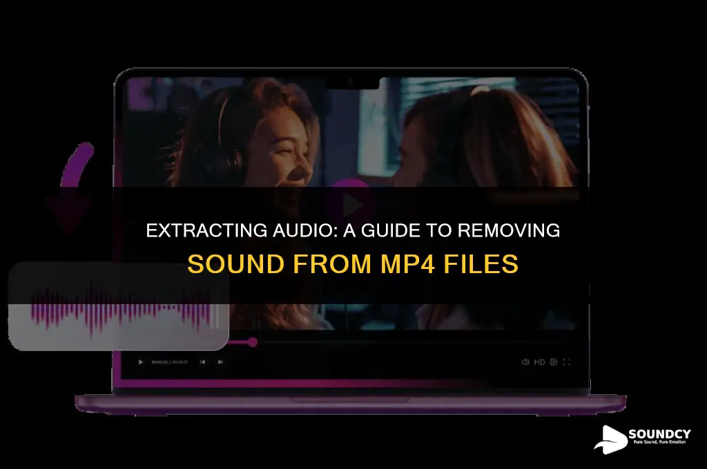 how to take sound files out of mp4 files