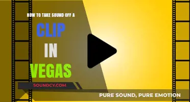 Muting Moments: A Quick Guide to Removing Sound in Vegas Pro