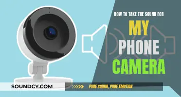 Capturing Quality Audio: A Guide for Phone Camera Sound