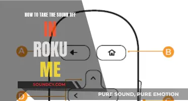 Silencing Roku: A Step-by-Step Guide to Mute Your Streaming