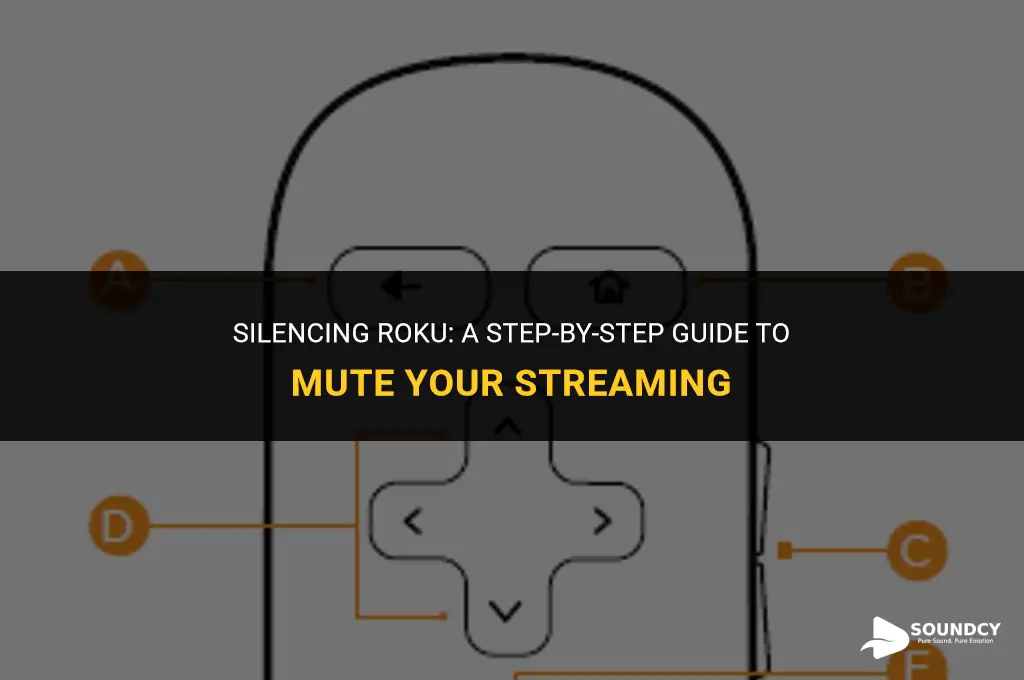 how to take the sound off in roku me