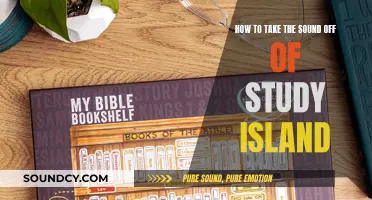 Silencing Study Island: A Step-by-Step Guide for Focused Learning