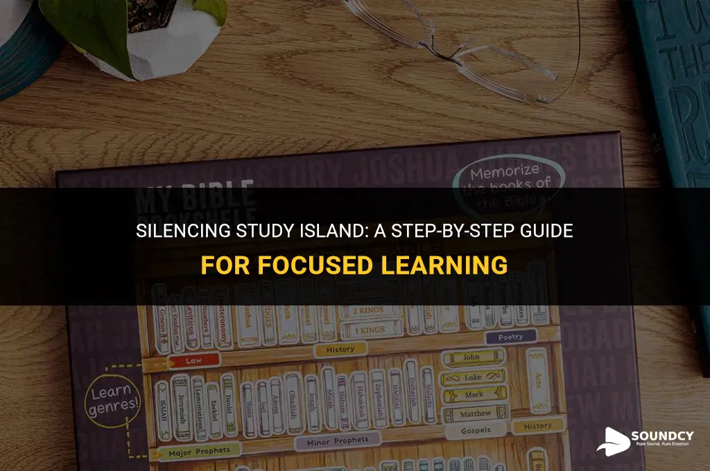 how to take the sound off of study island