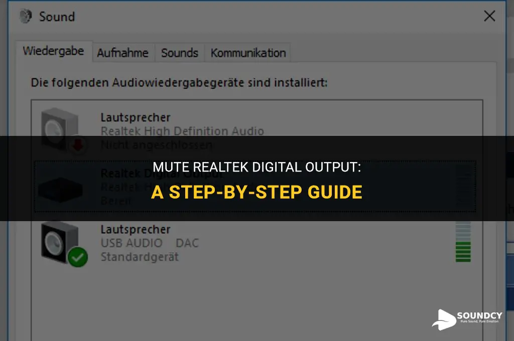how to take the sound off realtek digital output