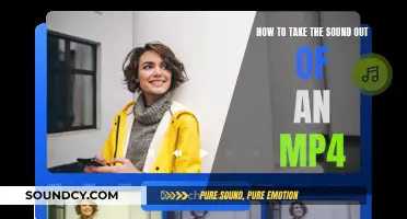 Silencing the Noise: A Guide to Removing Sound from MP4 Videos