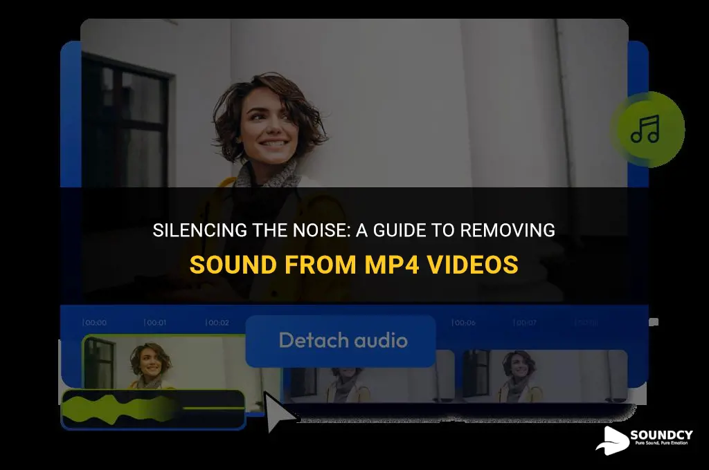 how to take the sound out of an mp4