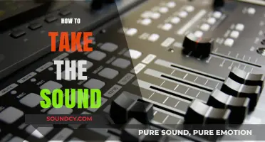 Mastering Sound Capture: Essential Techniques for Perfect Audio Recording