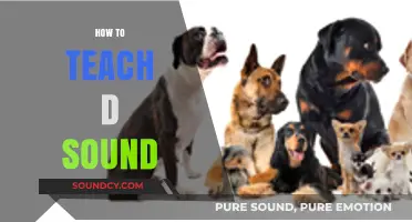 Mastering the 'D' Sound: Effective Teaching Strategies for Clear Articulation