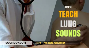 Mastering Lung Sound Teaching: Effective Techniques for Clinical Educators