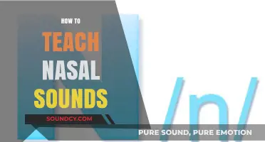 Mastering Nasal Sounds: Effective Teaching Techniques for Clear Pronunciation