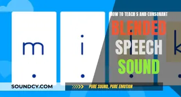 Mastering Blends: A Guide to Teaching S and Consonant Blended Speech Sounds