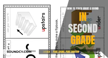 Unlocking the Short 'U' Sound: A Second Grade Teacher's Guide