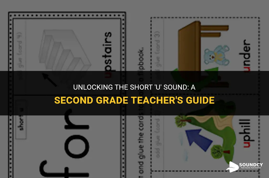 how to teach short u sound in second grade
