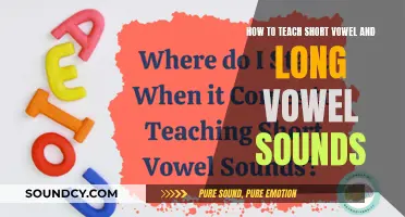 Mastering Phonics: A Guide to Teaching Short and Long Vowel Sounds