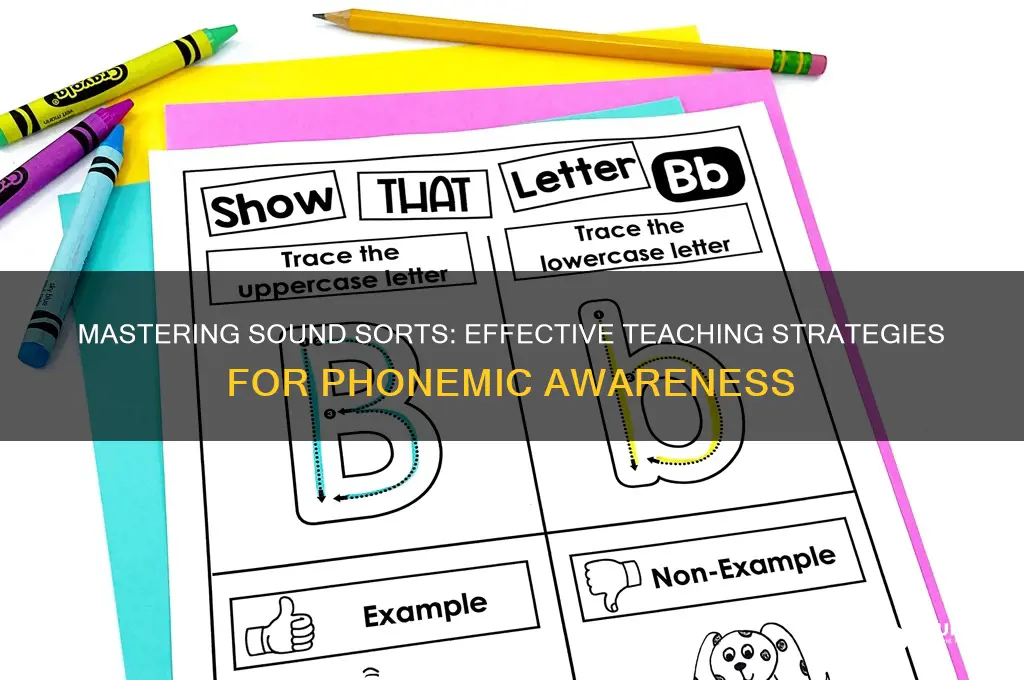 how to teach sound sorts
