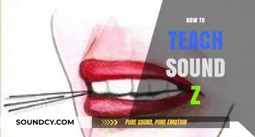 Mastering the 'Z' Sound: Fun and Effective Teaching Strategies for Kids