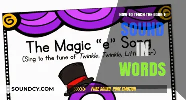 Mastering the Long E Sound: A Guide for Effective Teaching