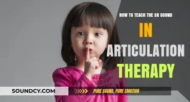 Mastering the 'Sh' Sound: Effective Strategies for Articulation Therapy