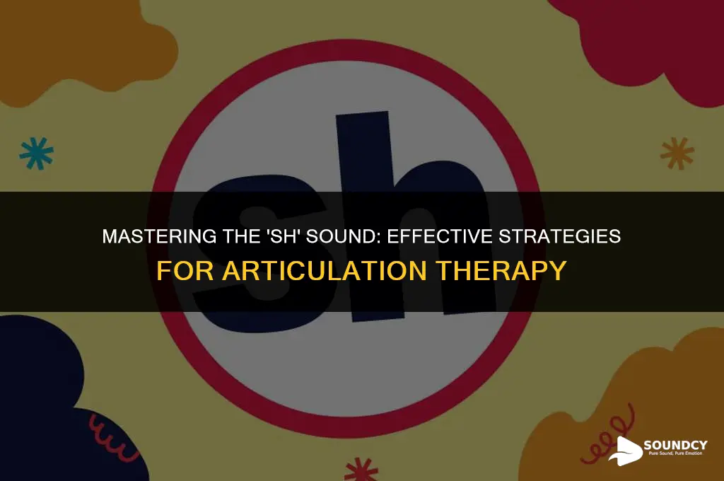 how to teach the sh sound in articulation therapy