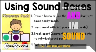 Mastering the 'Am' and 'Im' Sounds: A Guide for Effective Teaching