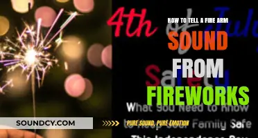 Distinguishing Gunshots from Fireworks: A Comprehensive Guide