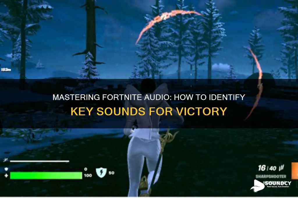 how to tell fortnite sound
