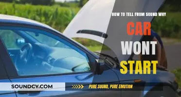 Diagnosing Car Troubles: Decoding Sounds When Your Vehicle Won't Start