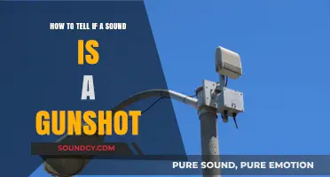 Identifying Gunshots: A Guide to Recognizing the Distinctive Sound