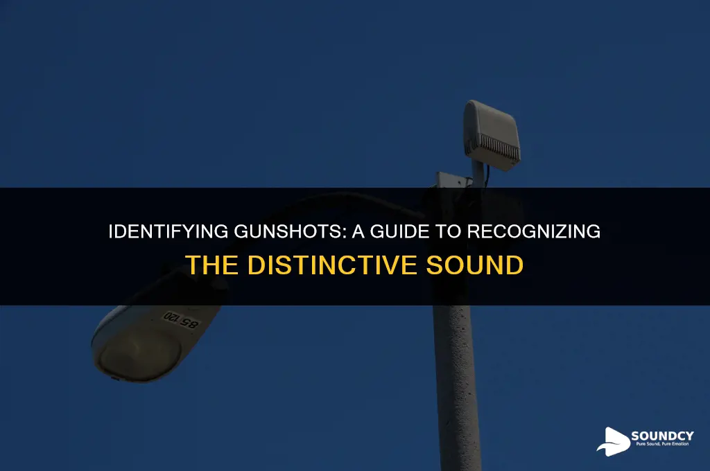 how to tell if a sound is a gunshot