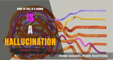 Distinguishing Reality from Illusion: A Guide to Sound Hallucinations