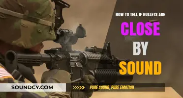 Decoding Danger: How to Identify Bullets by Sound