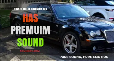 Decoding the Chrysler 300's Premium Sound System: A Guide
