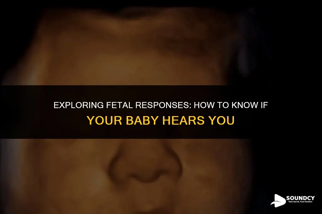 how to tell if fetus is responding to sound