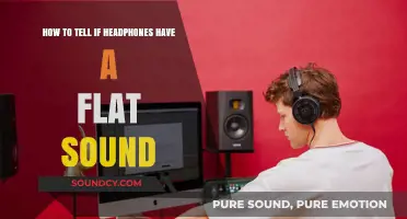 Identifying Flat Sound in Headphones: A Comprehensive Guide