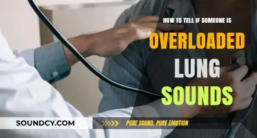 Recognizing Overloaded Lung Sounds: A Guide for Healthcare Professionals