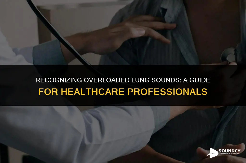 how to tell if someone is overloaded lung sounds
